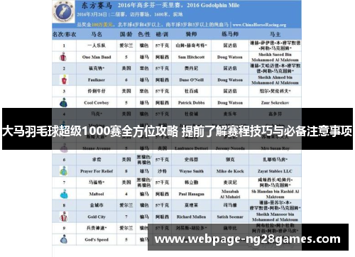 大马羽毛球超级1000赛全方位攻略 提前了解赛程技巧与必备注意事项