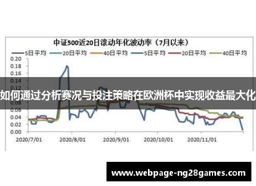 如何通过分析赛况与投注策略在欧洲杯中实现收益最大化